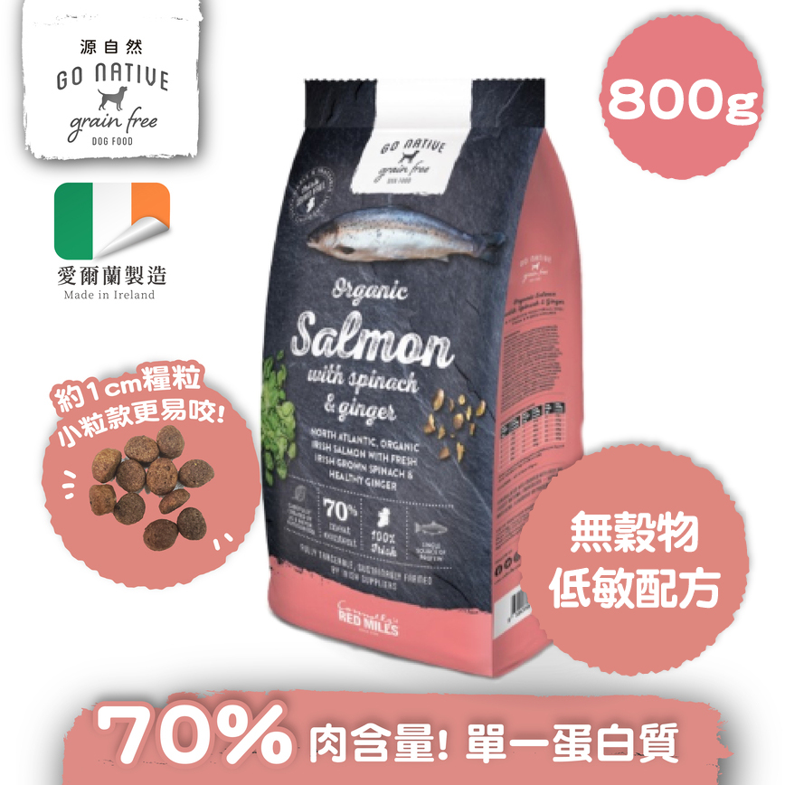 Go Native 三文魚 低敏狗糧 800g