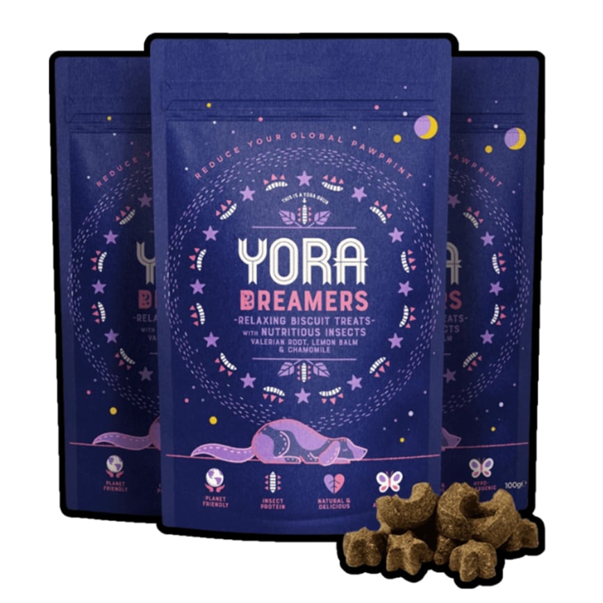 YORA 狗夢想家小食 昆蟲單一蛋白 40g (P00125)