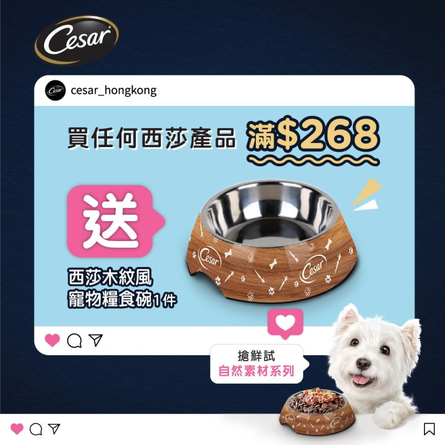 Cesar西莎 木紋風寵物糧食物碗 (64277) (贈品) 圖 1