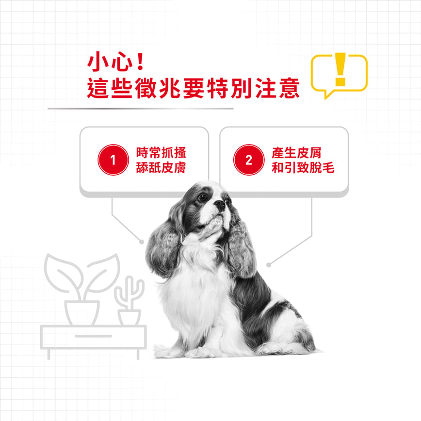 Royal Canin 狗糧 法國皇家狗糧 加護系列 小型犬皮膚舒緩加護配方 小型犬皮膚敏感專用配方 DCMI 8kg (2731000) 圖 3