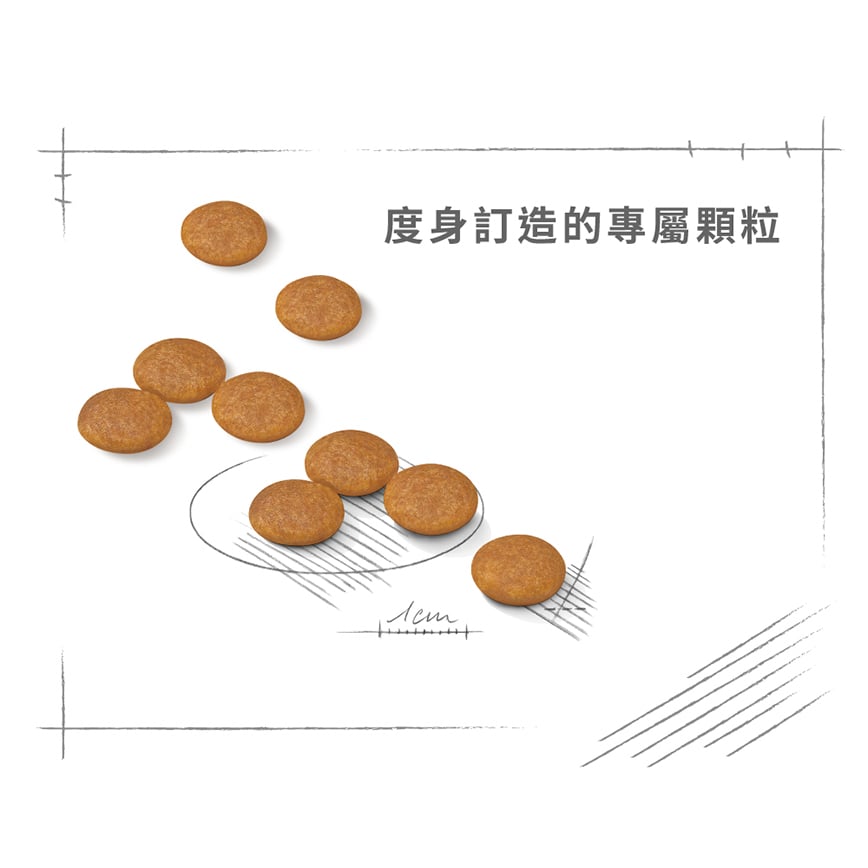 Royal Canin 狗糧 法國皇家狗糧 加護系列 小型犬皮膚舒緩加護配方 小型犬皮膚敏感專用配方 DCMI 3kg (2720600) 圖 5