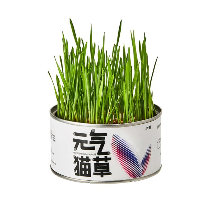 PETKIT 元氣貓草罐 (pks1t)