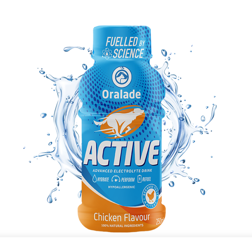 Oralade Active 高效電解質飲料 250ml (Active-C) (犬用)