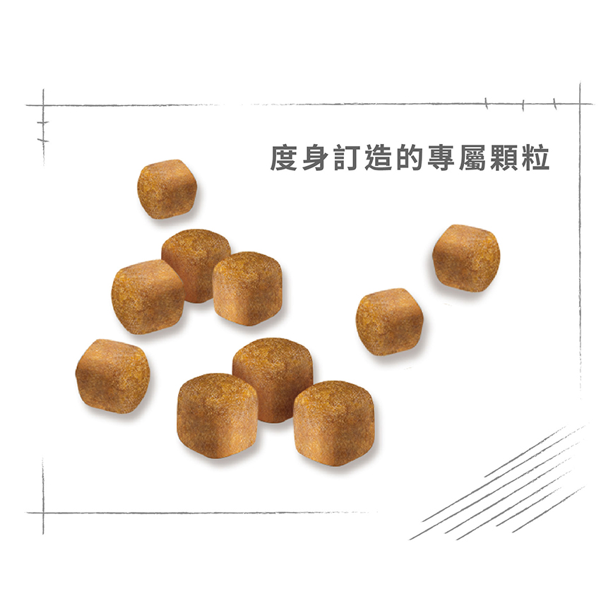 Royal Canin 貓糧 法國皇家貓糧 Maine Coon 純種系列 緬因幼貓專屬配方 KMCO 2kg (R448637) 圖 5