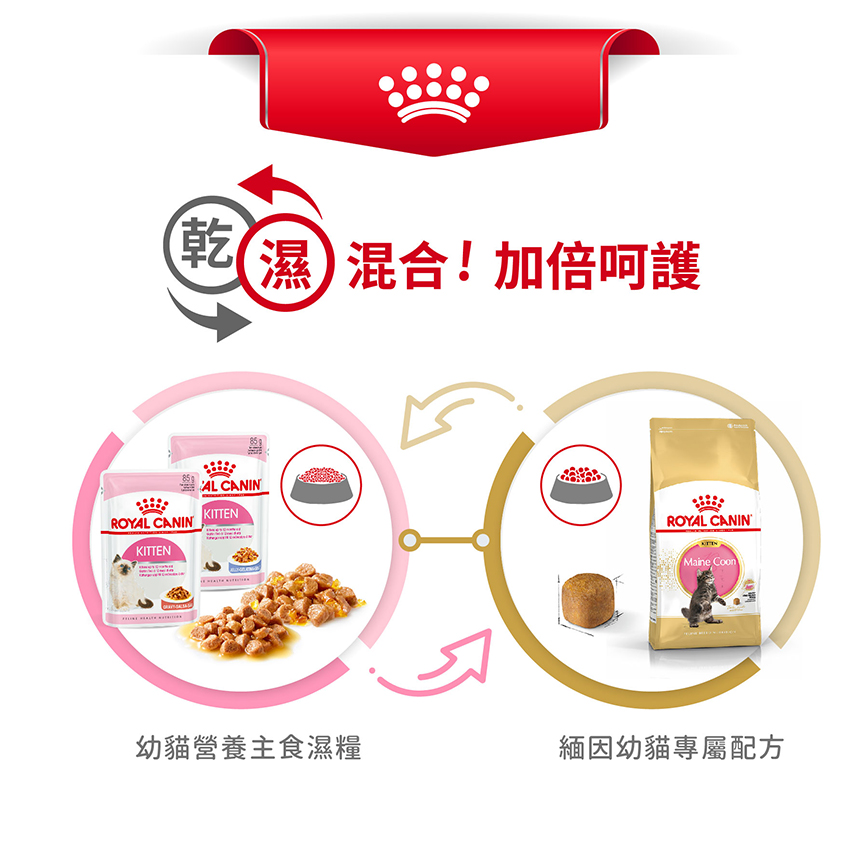 Royal Canin 貓糧 法國皇家貓糧 Maine Coon 純種系列 緬因幼貓專屬配方 KMCO 2kg (R448637) 圖 6