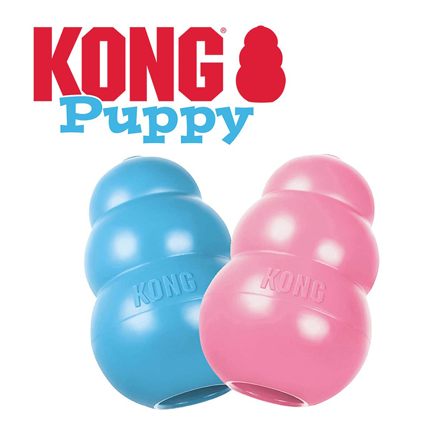 KONG Puppy Large 10cm (41945) 圖 1