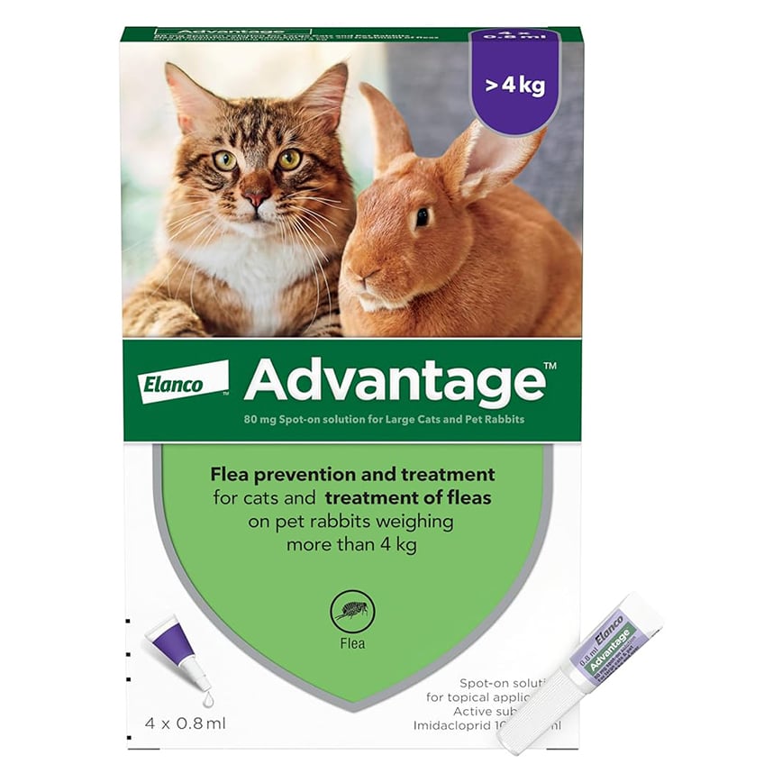 Elanco (Bayer) 貓用 Advantage 蚤安滴劑 4-8kg 1盒4支 (BAC80)