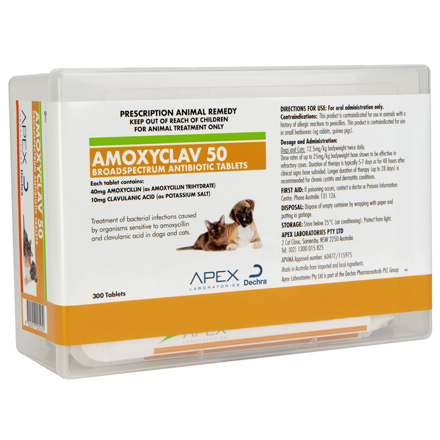 Amoxyclav 50mg tablet 300粒 圖 1