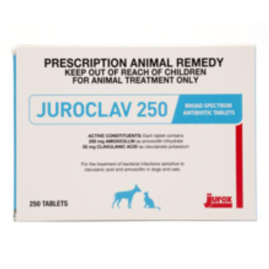 Juroclav 250mg 抗生素片100粒 圖 1