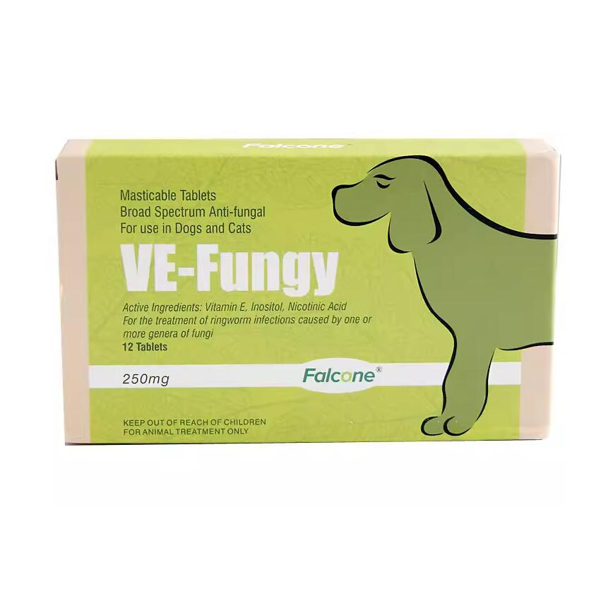 Falcone ( Ve- Fungy ) Anti- Fungal Tablet 250mg 12粒 圖 1