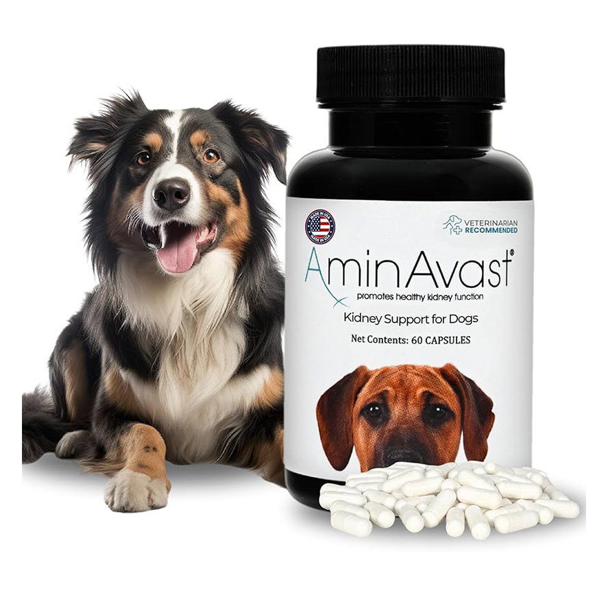 AminAvast Kidney Support for Dog 1000mg 60's 圖 1