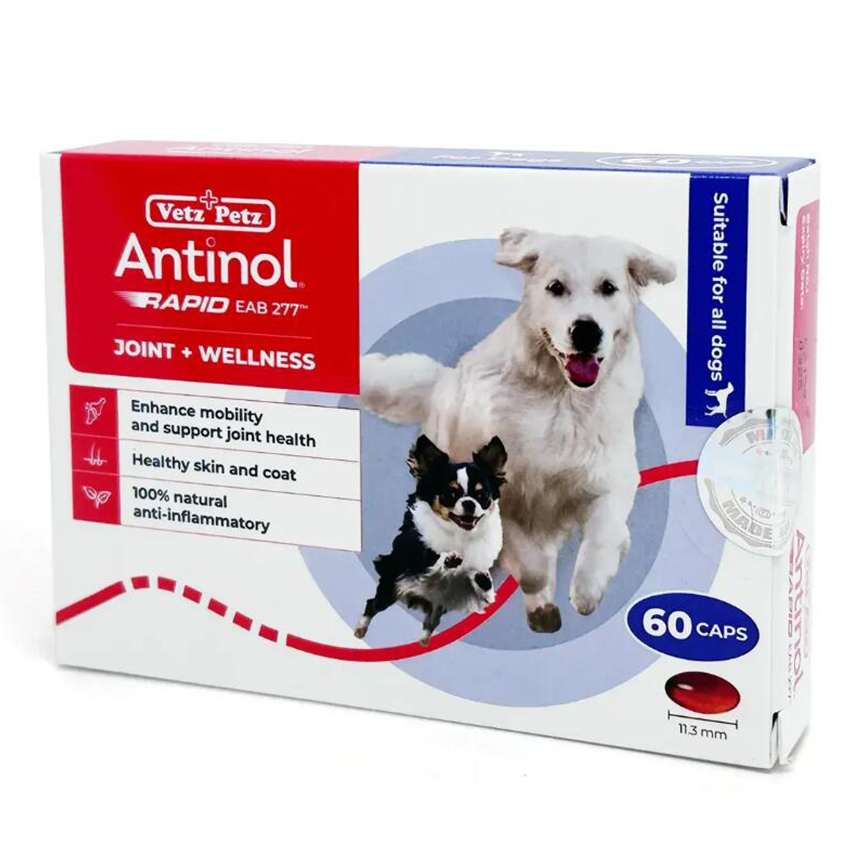 Antinol Rapid Joint Supplement for Dogs 60粒 圖 1