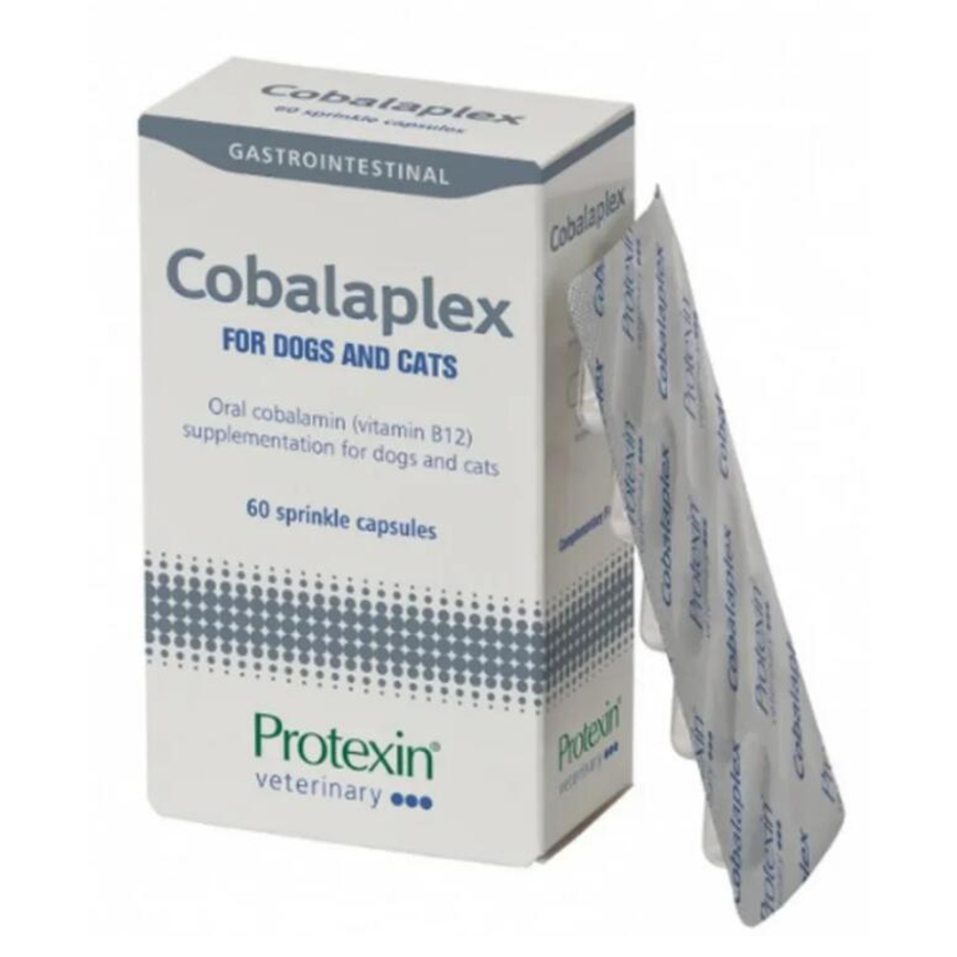 Protexin Cobalaplex Vitamin B12 & B9 Supplements 1盒 圖 1