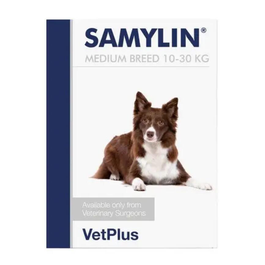 VetPlus Samylin Medium Breed 30Tablets 圖 1