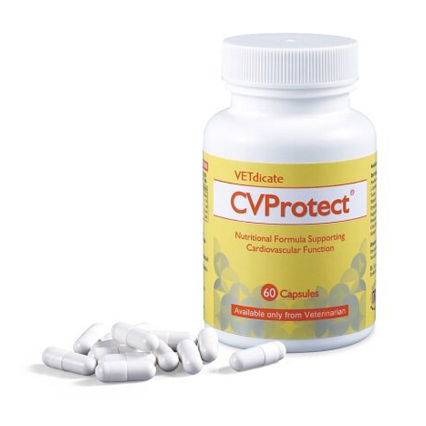 CVProtect 60粒 膠囊 圖 1
