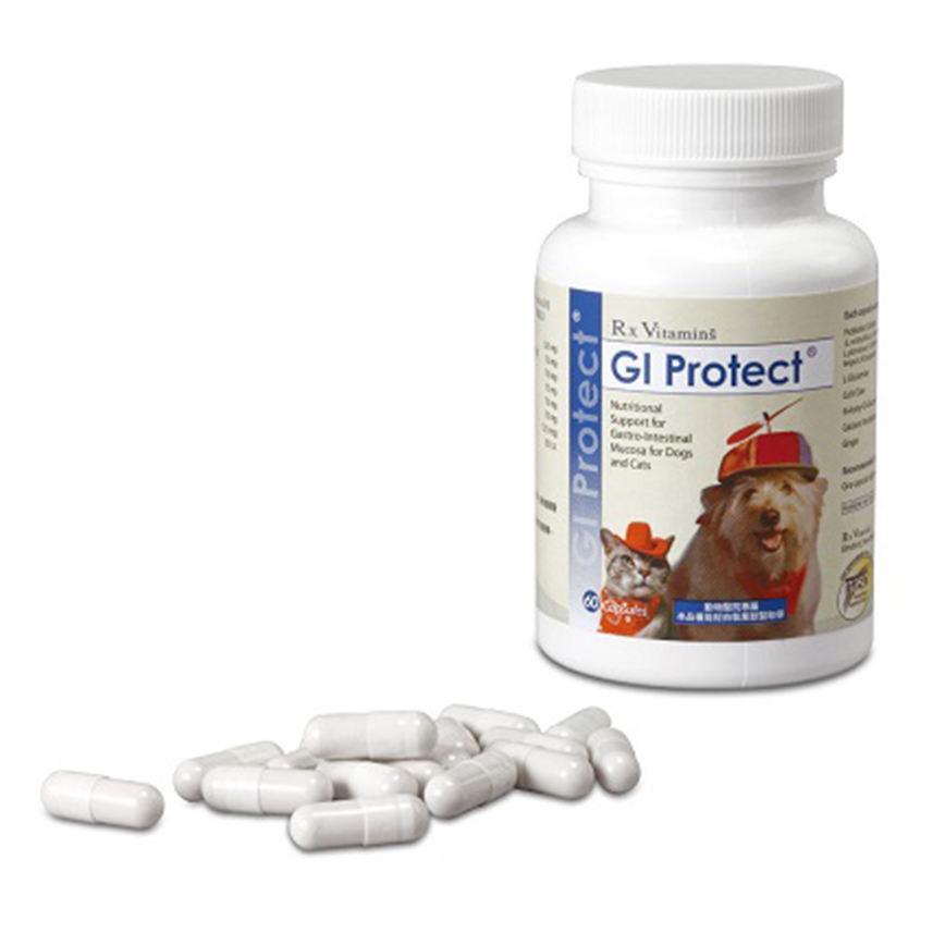 固腸 GI Protect 60粒膠囊 圖 1