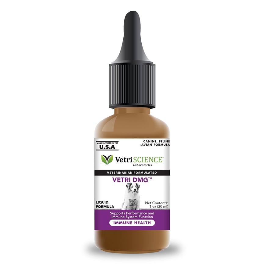 VetriScience Vetri DMG Liquid Immune Supplement 30ml