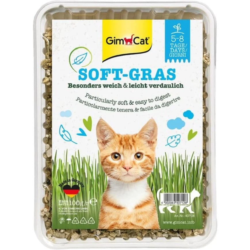 Gim Cat (藍盒) 特級幼嫩多汁種植貓草 100g