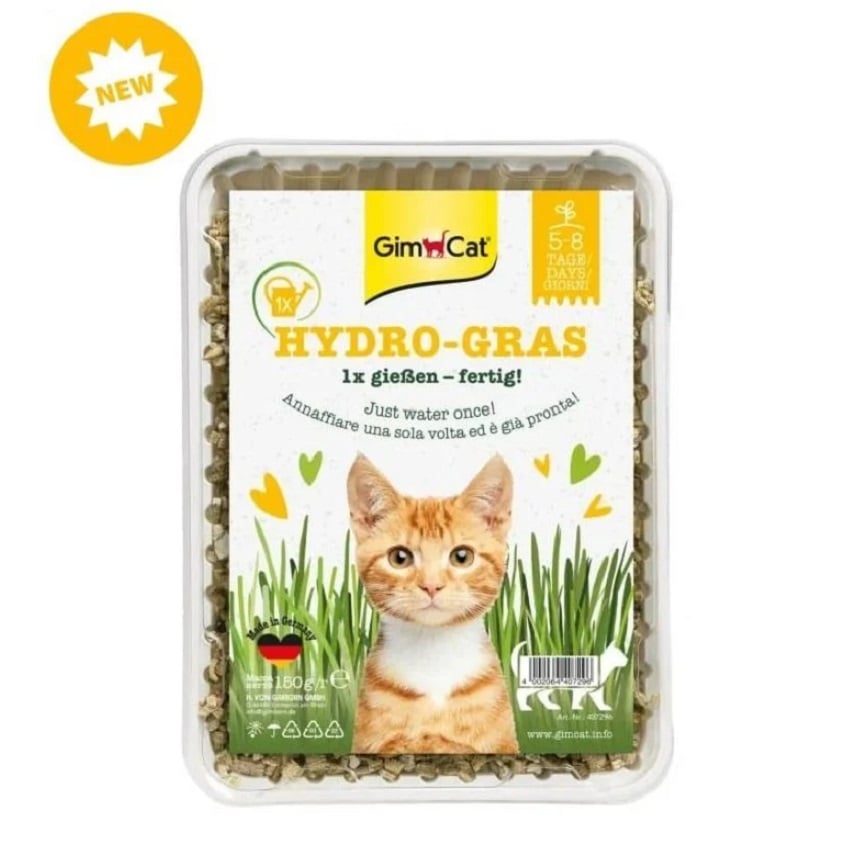 Gim Cat (黃盒) 簡易種植貓草 150g