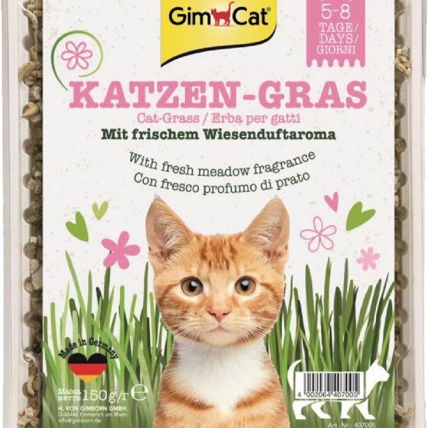 Gim Cat (粉紅盒) 香味種植貓草 150G