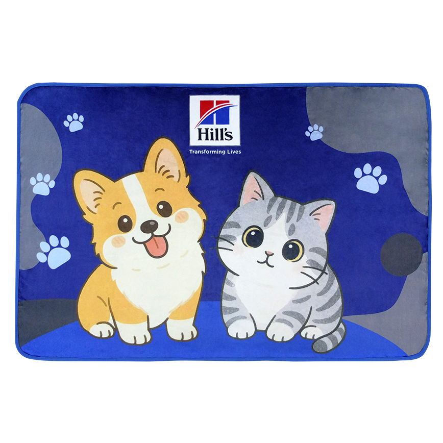 Hills 希爾思 2合1抱枕連毛毯 (非賣品) 圖 2