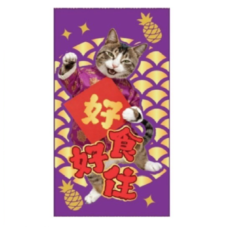 WELLNESS Core 紅包 (菠蘿仔) (WNCNY04) (非賣品) (贈品) 圖 1