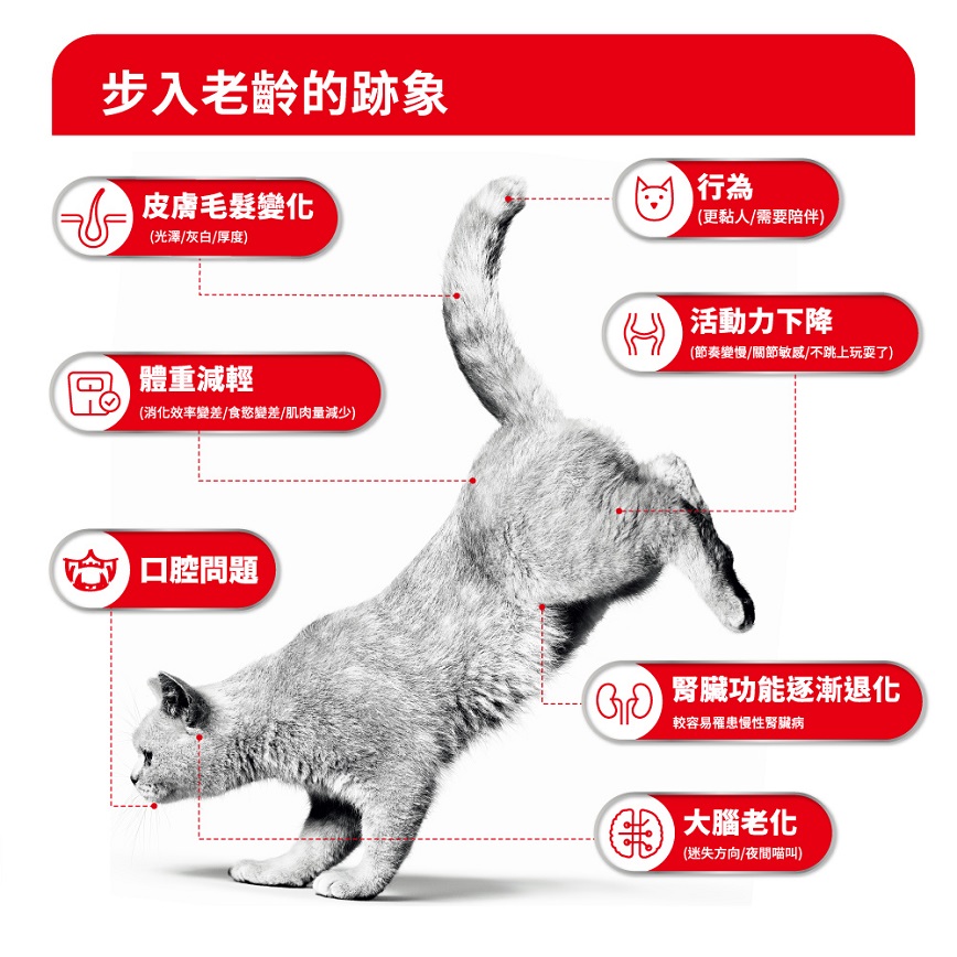 Royal Canin 貓糧 法國皇家貓糧 FHN 老齡貓11+ 營養配方 2kg (4108500) 圖 3