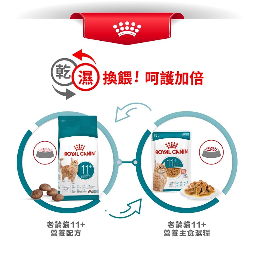 Royal Canin 貓糧 法國皇家貓糧 FHN 老齡貓11+ 營養配方 2kg (4108500) 圖 6