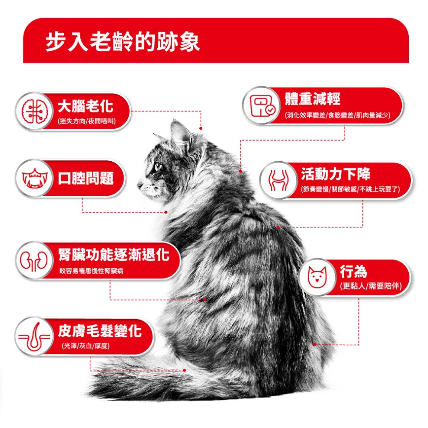 Royal Canin 貓糧 法國皇家貓糧 FHN 老齡貓15+ 營養配方 2kg (4108800) 圖 3