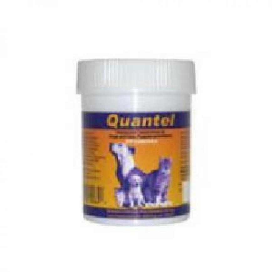Chanelle康圖 寵物用廣效除蟲片 CP04 30片 (貓犬用) (停售) 圖 1
