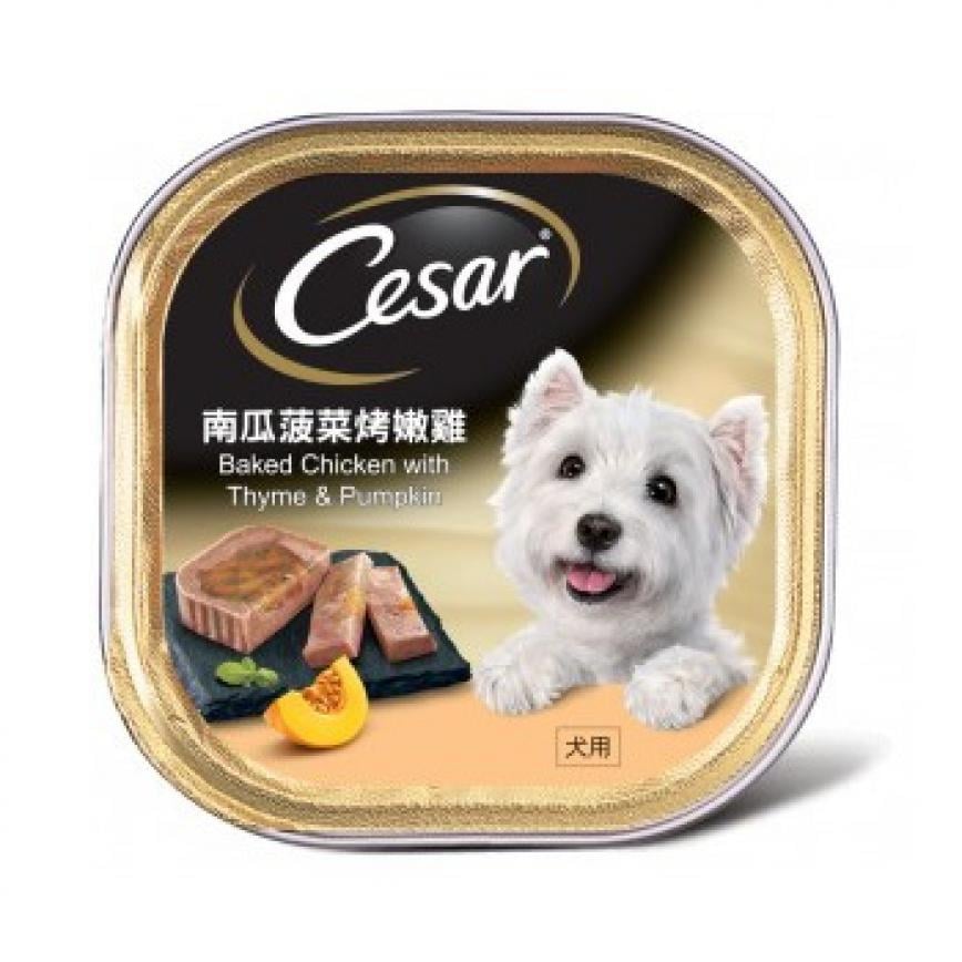 Cesar西莎 狗罐頭 南瓜菠菜烤嫩雞 100g