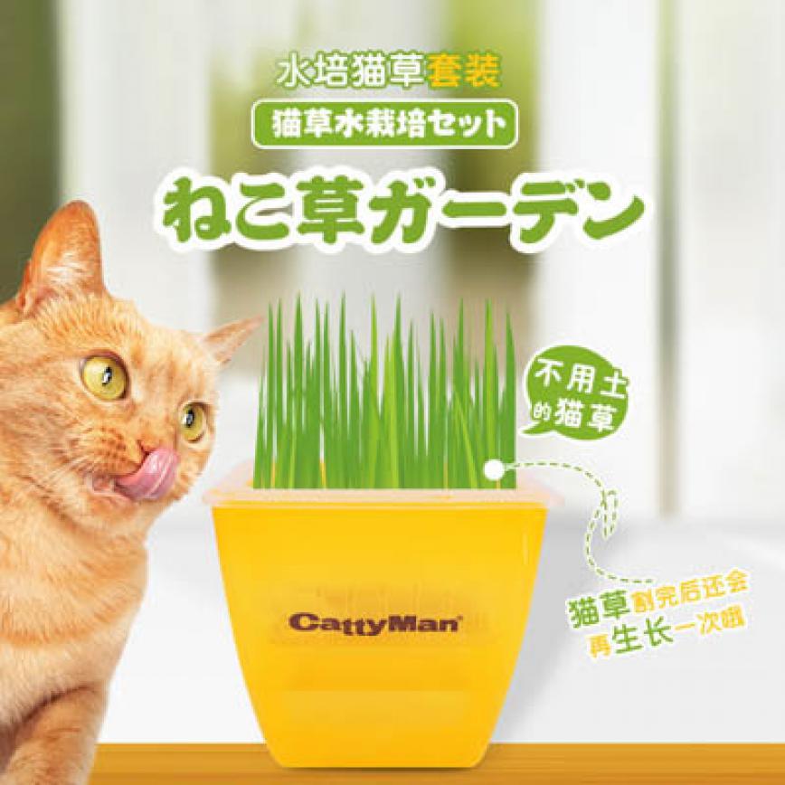 DoggyMan 健康水培貓咪小麥草去毛球套裝 圖 1