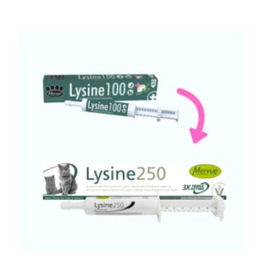 Mervue Lysine 貓用補充劑 Lysine 100 30ml (FP8140) (FP10049) (新舊包裝隨機發貨) 圖 2