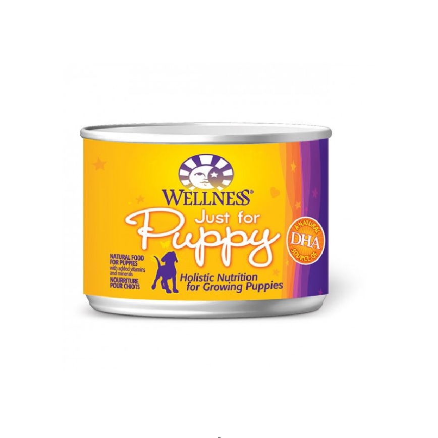 WELLNESS Complete Health 狗罐頭 幼犬配方 6oz