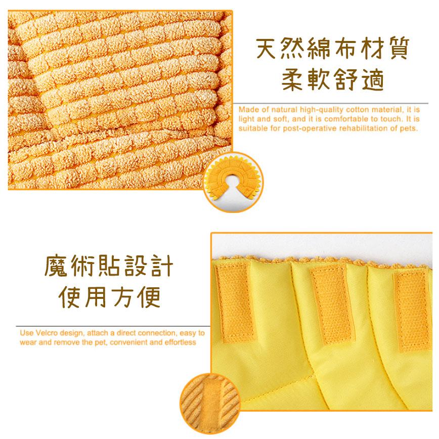 寵物超可愛防咬頸圈 向日葵 XL碼 圖 3