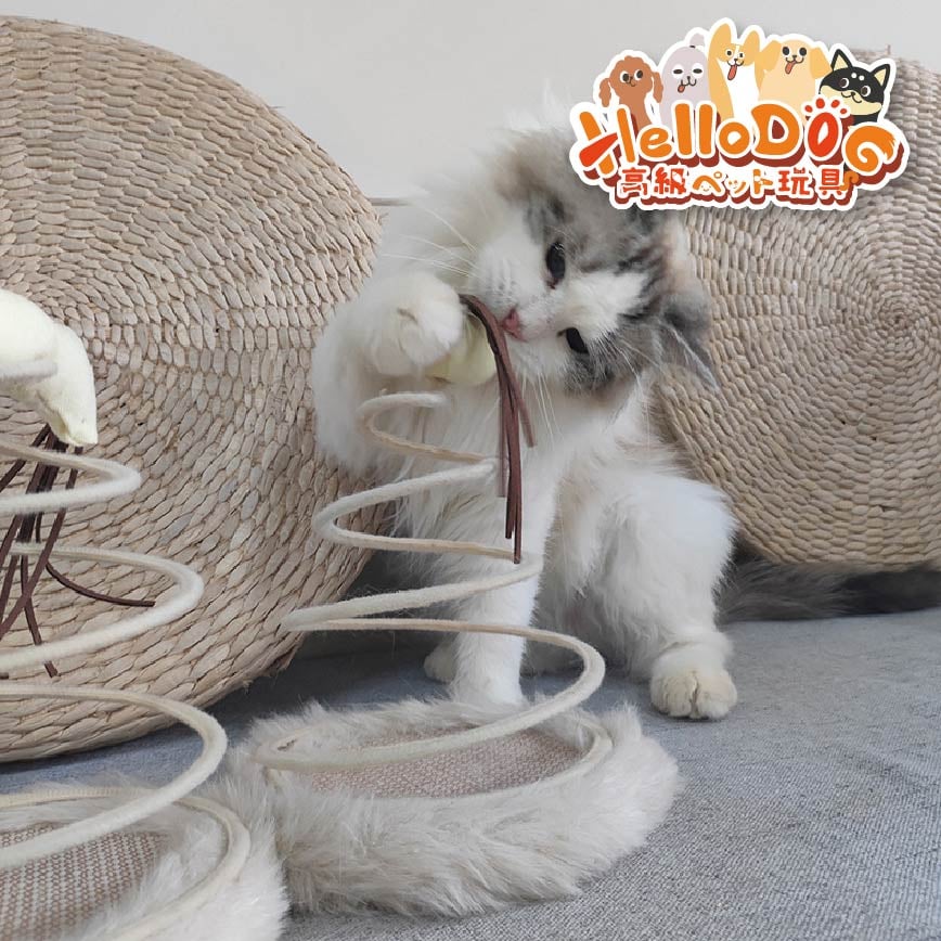 HelloDOG 貓玩具 彈簧瘋狂逗貓玩具麻球 1件 (隨機款) 圖 1