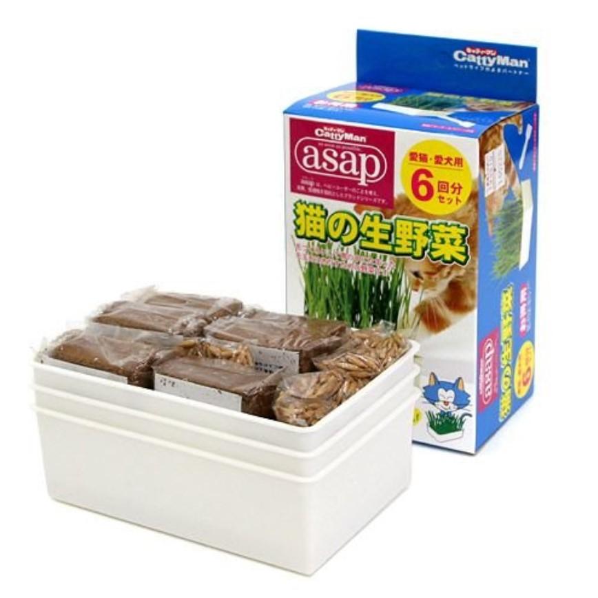 日本CattyMan ASAP 生野菜貓草 6回份量 (停售) 圖 1