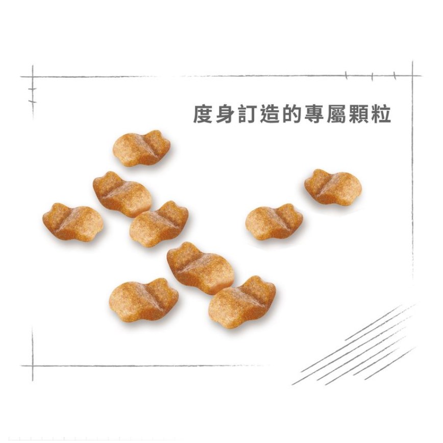 Royal Canin 狗糧 法國皇家狗糧 純種系列 鬥牛成犬專屬配方 鬥牛成犬糧 BUD 3kg (2550000) 圖 5